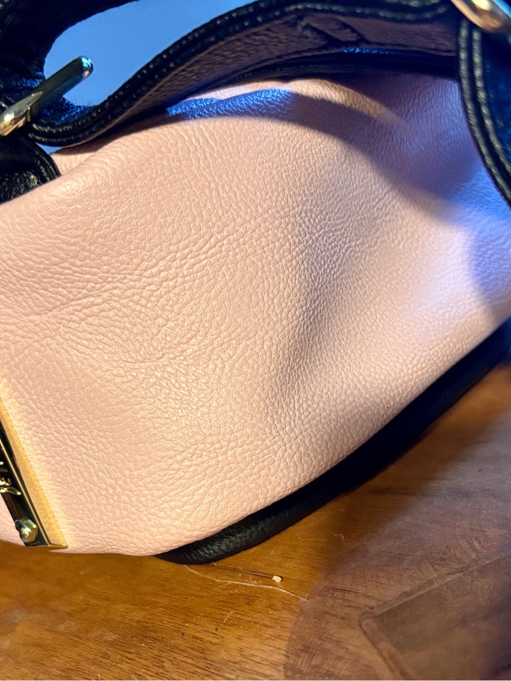 Betsey Johnson Classic Cat Mini Backpack in Blush Pink, Black & Gold - NWOT - Picture 11 of 16